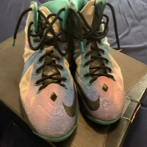 Lebron 10 pure platinum / re-entry